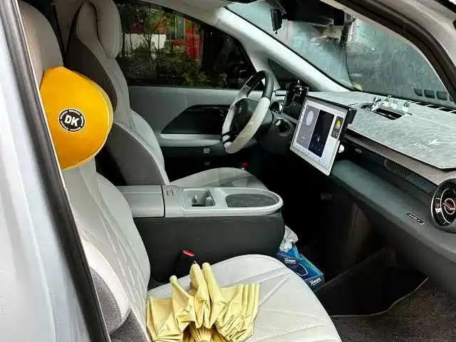 ARCFOX Polar fox koala