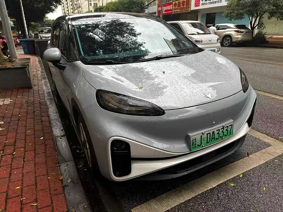 ARCFOX Polar fox koala