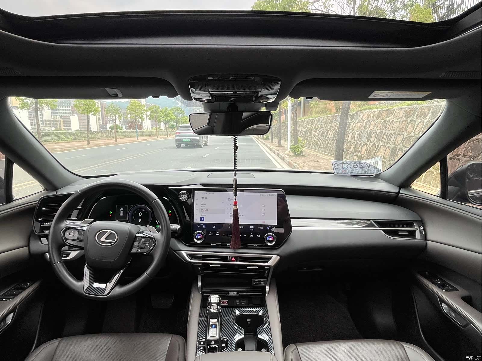Lexus RX, 2024 все фото
