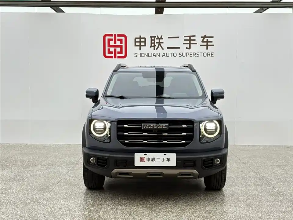 Haval Big dog