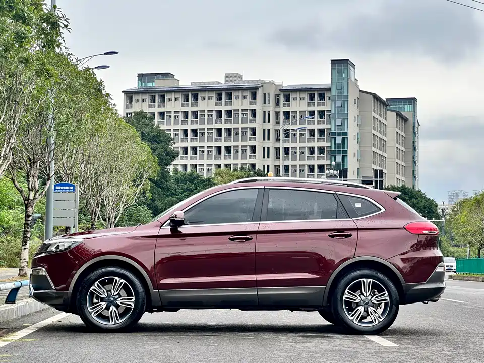 Leopaard Cheetah CS10