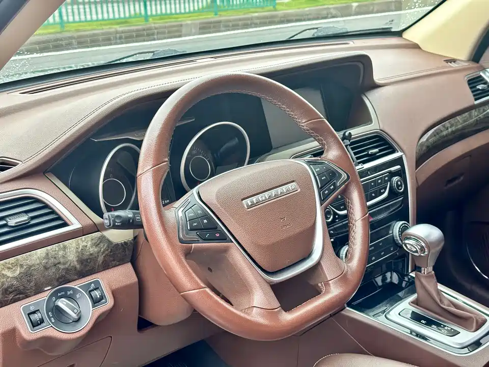 Leopaard Cheetah CS10