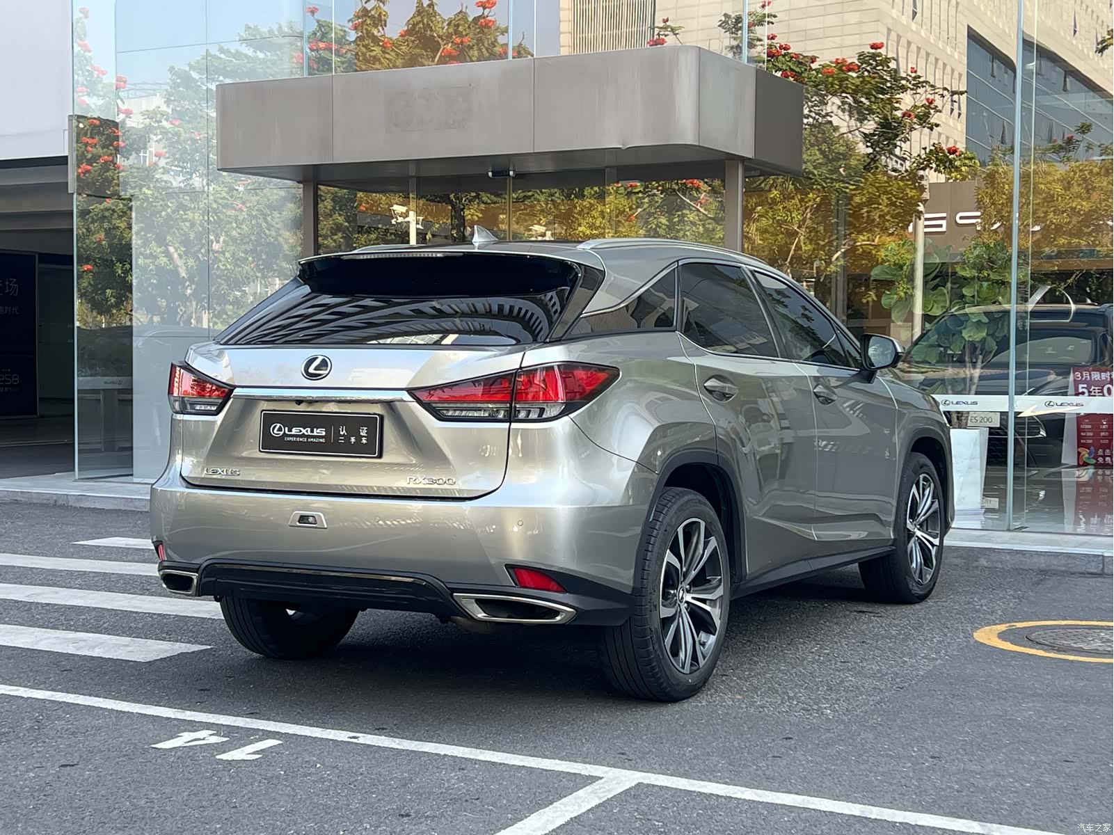 Lexus RX, 2022 11