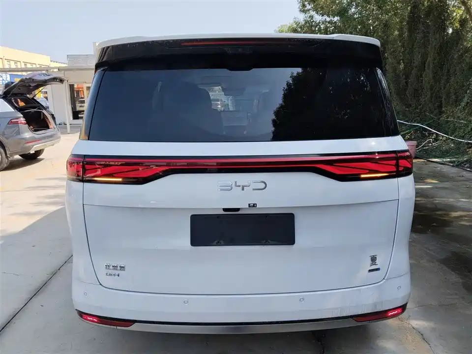 BYD summer BYD summer