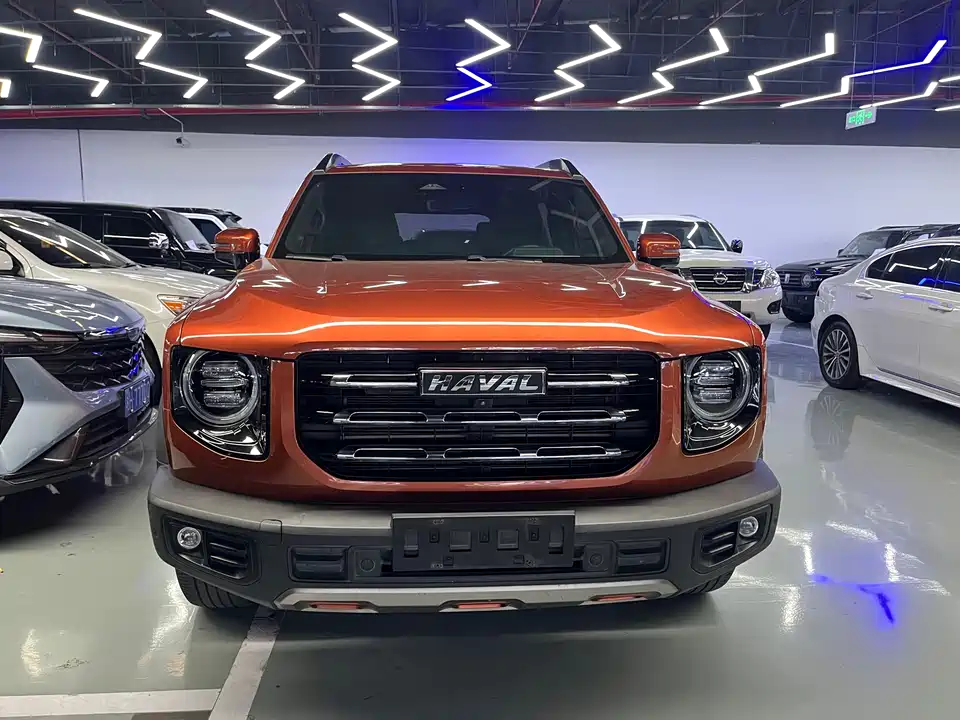 Haval Big dog