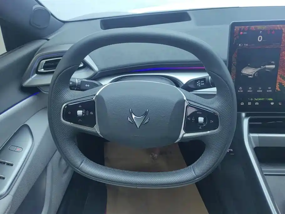 ARCFOX Polar Fox Alpha S5