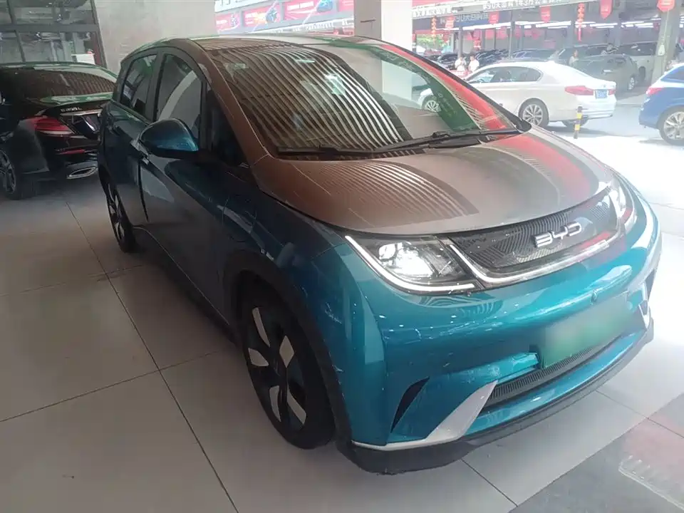 BYD dolphin