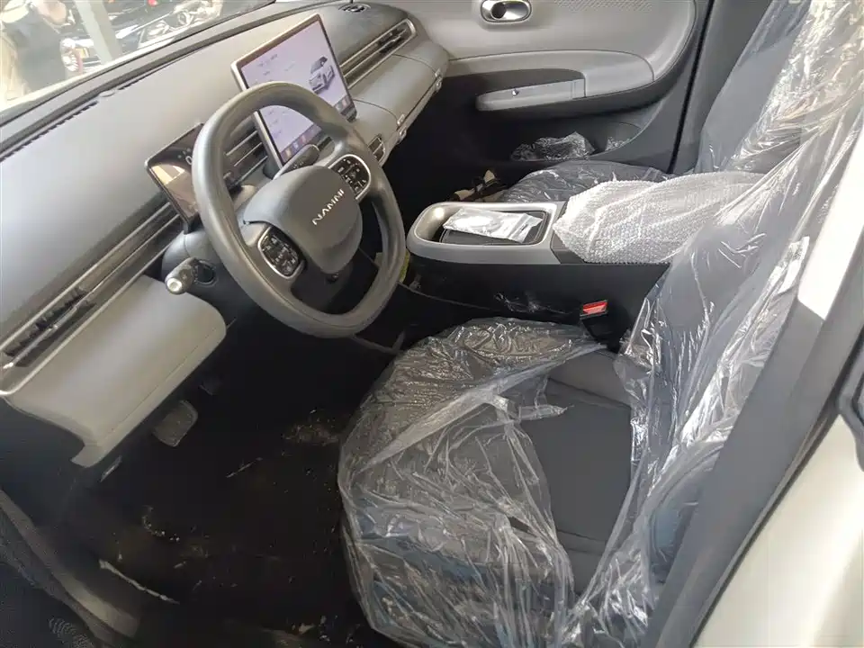 Dongfeng Nammi Nano 01