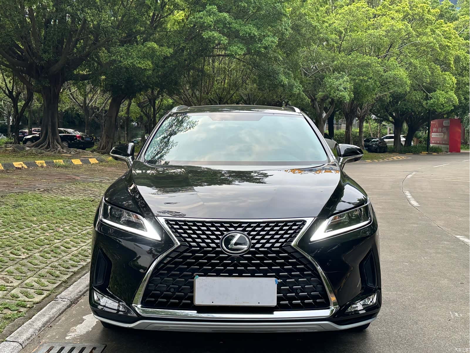 Lexus RX, 2021 2