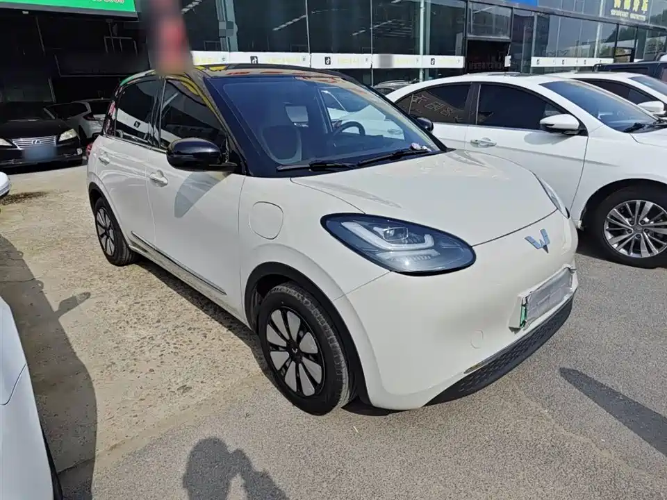 Wuling Wuling Bingguo