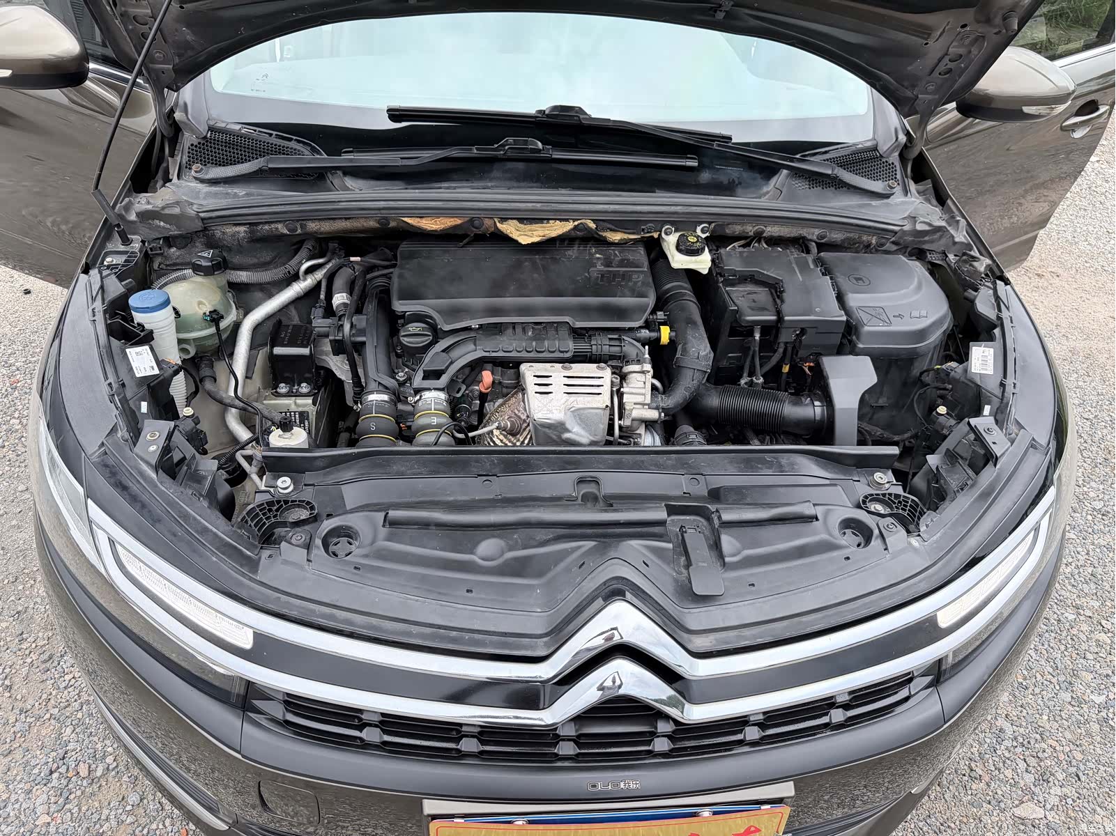 Citroen C4, 2019 14