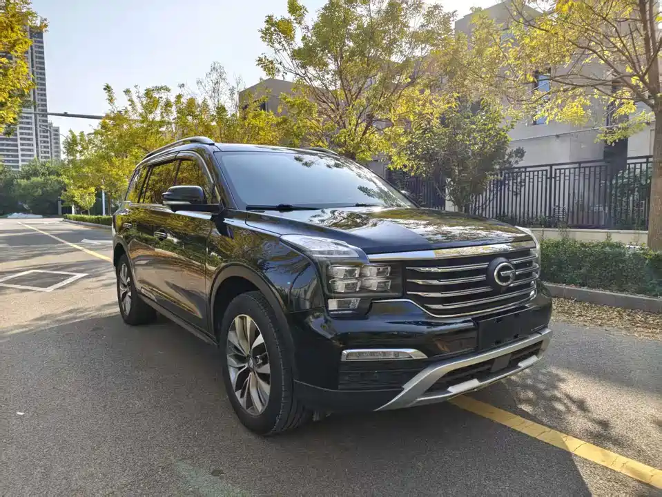 Trumpchi Trumpchi GS8