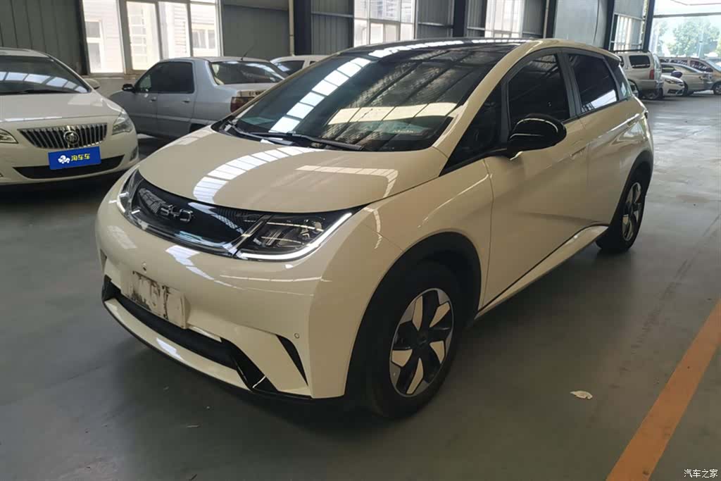 BYD Dolphin, 2024 1
