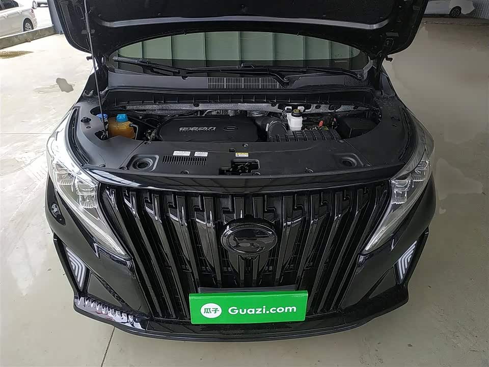 Trumpchi Trumpchi M8