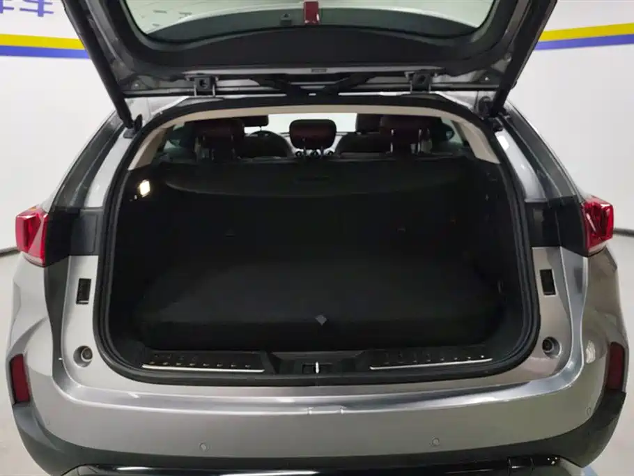 Weipai P8