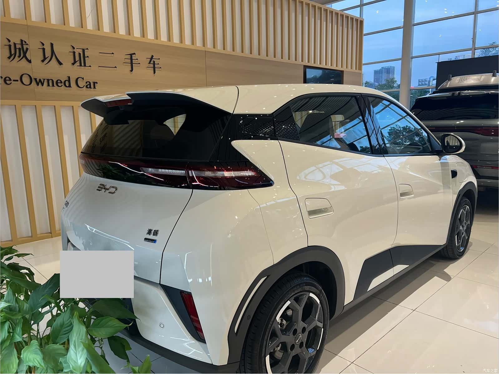 BYD Seagull, 2025 8