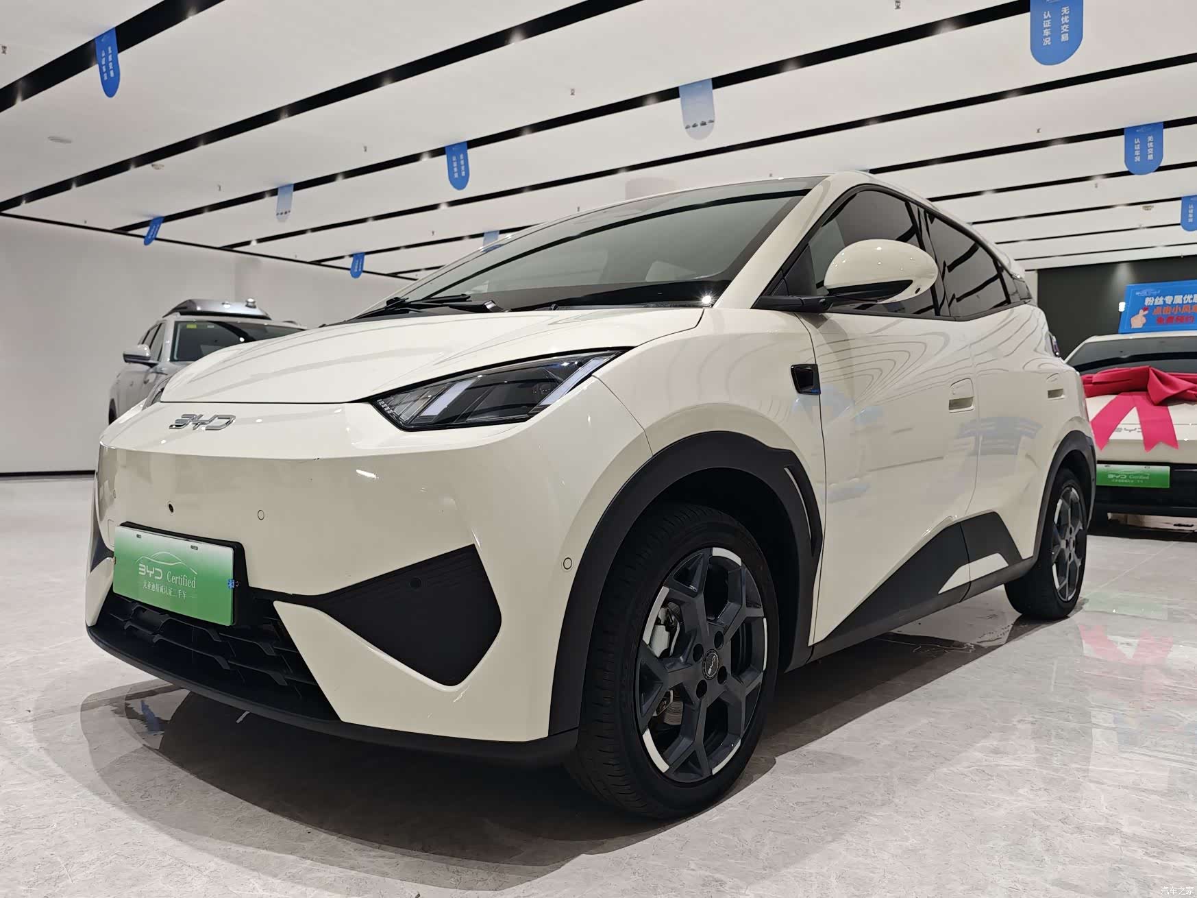BYD Seagull, 2025 1