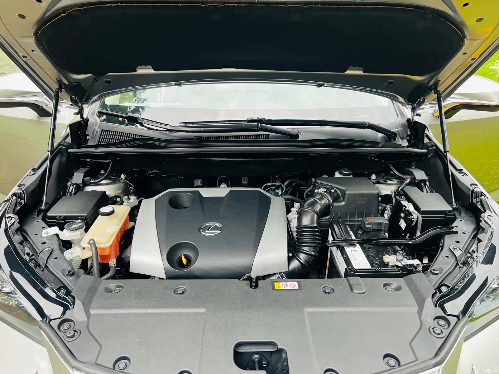 Lexus NX, 2019 20