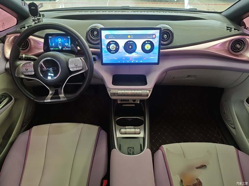 BYD Dolphin, 2022 10