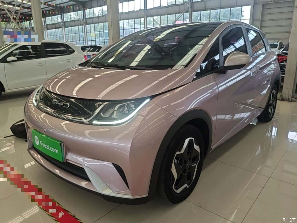 BYD Dolphin, 2022 1