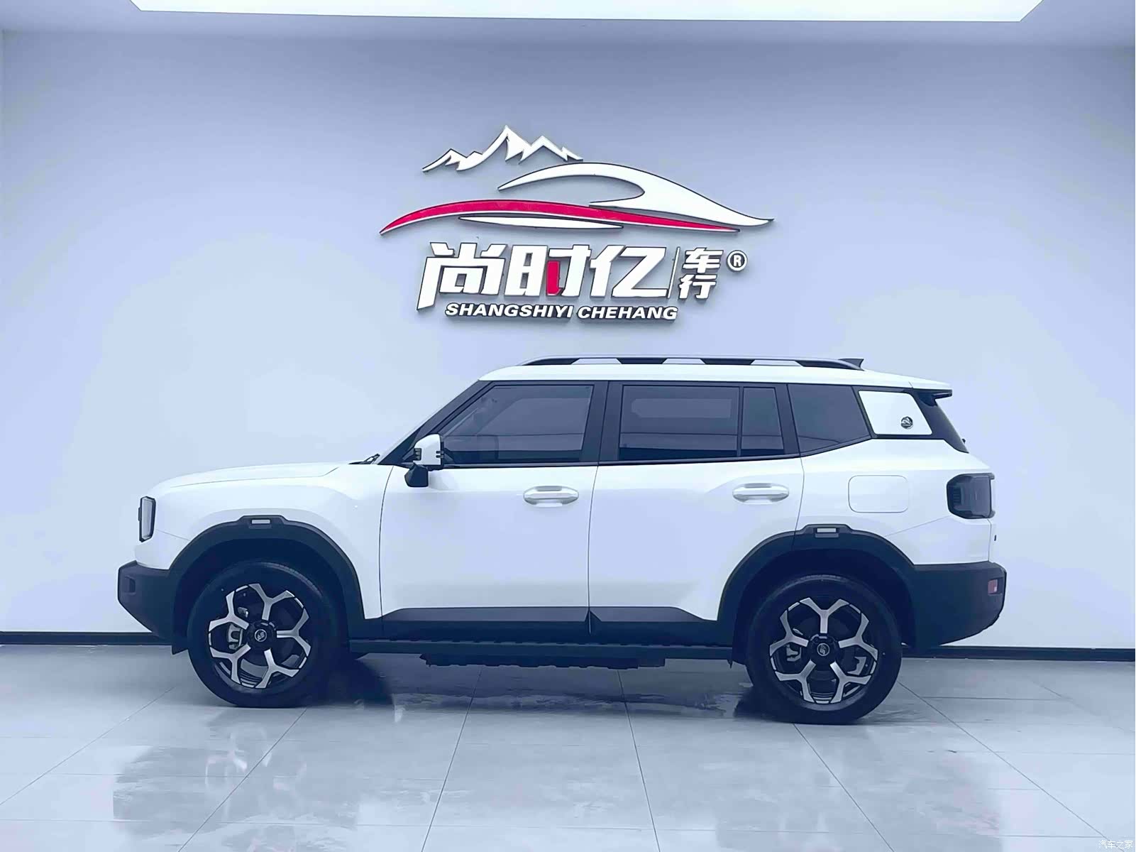 Jetour T1, 2024 4