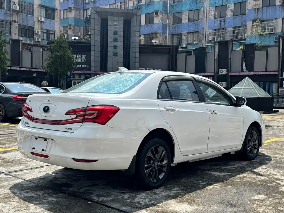 BYD Qinxin Energy