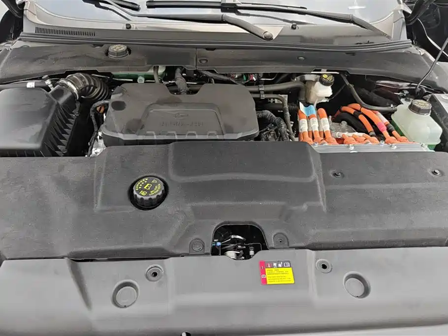 Wuling Wuling Starlight