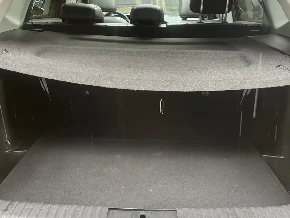 Leopaard Cheetah CS10