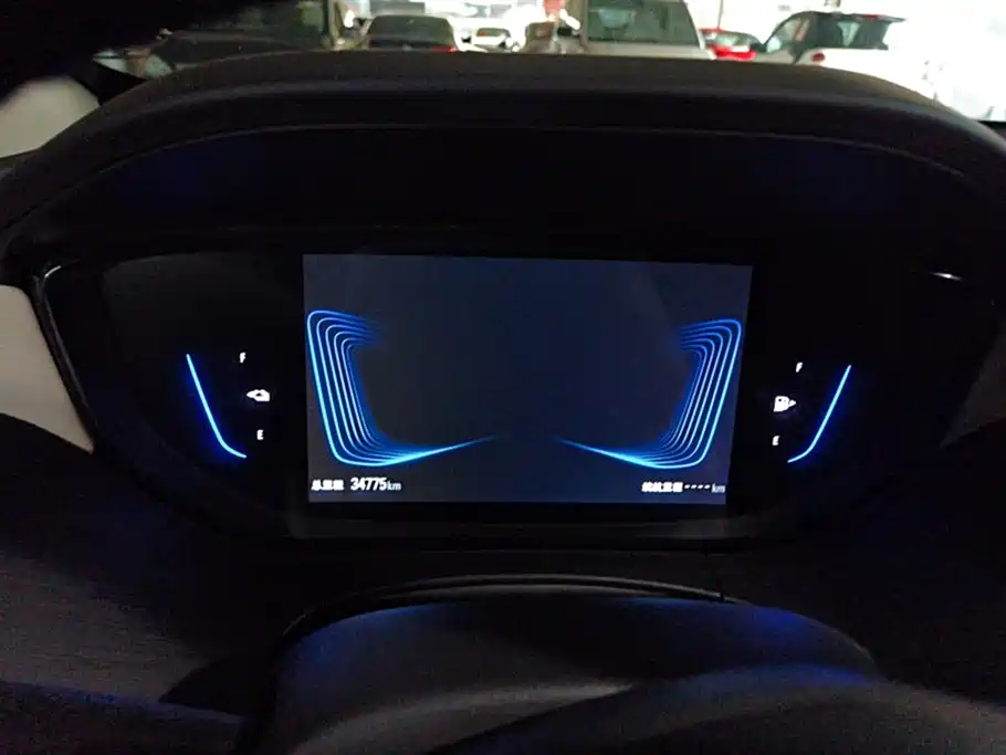 Buick Slightly blue 6