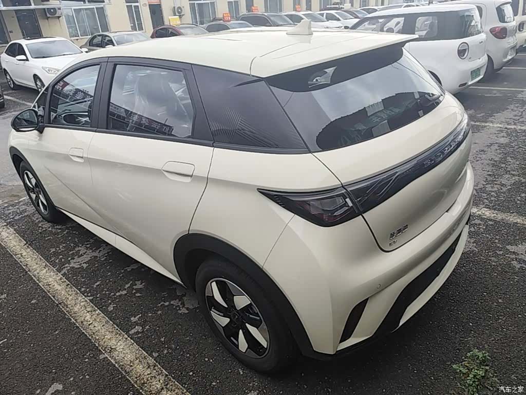 BYD Dolphin, 2026 все фото