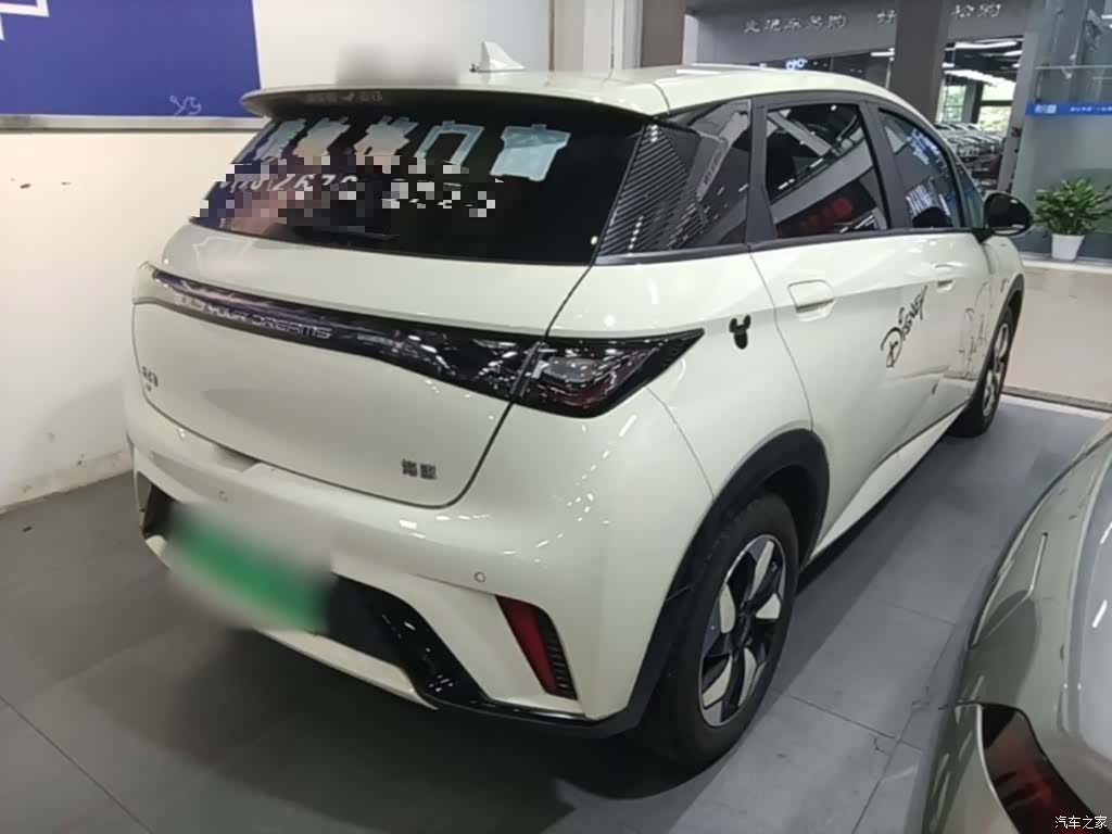 BYD Dolphin, 2025 7