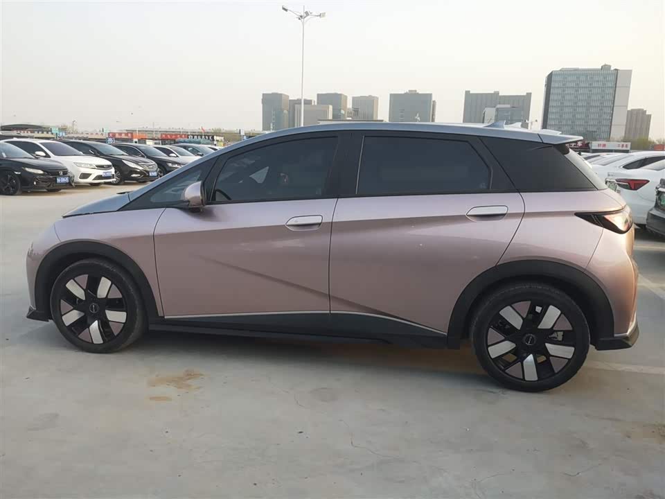BYD dolphin