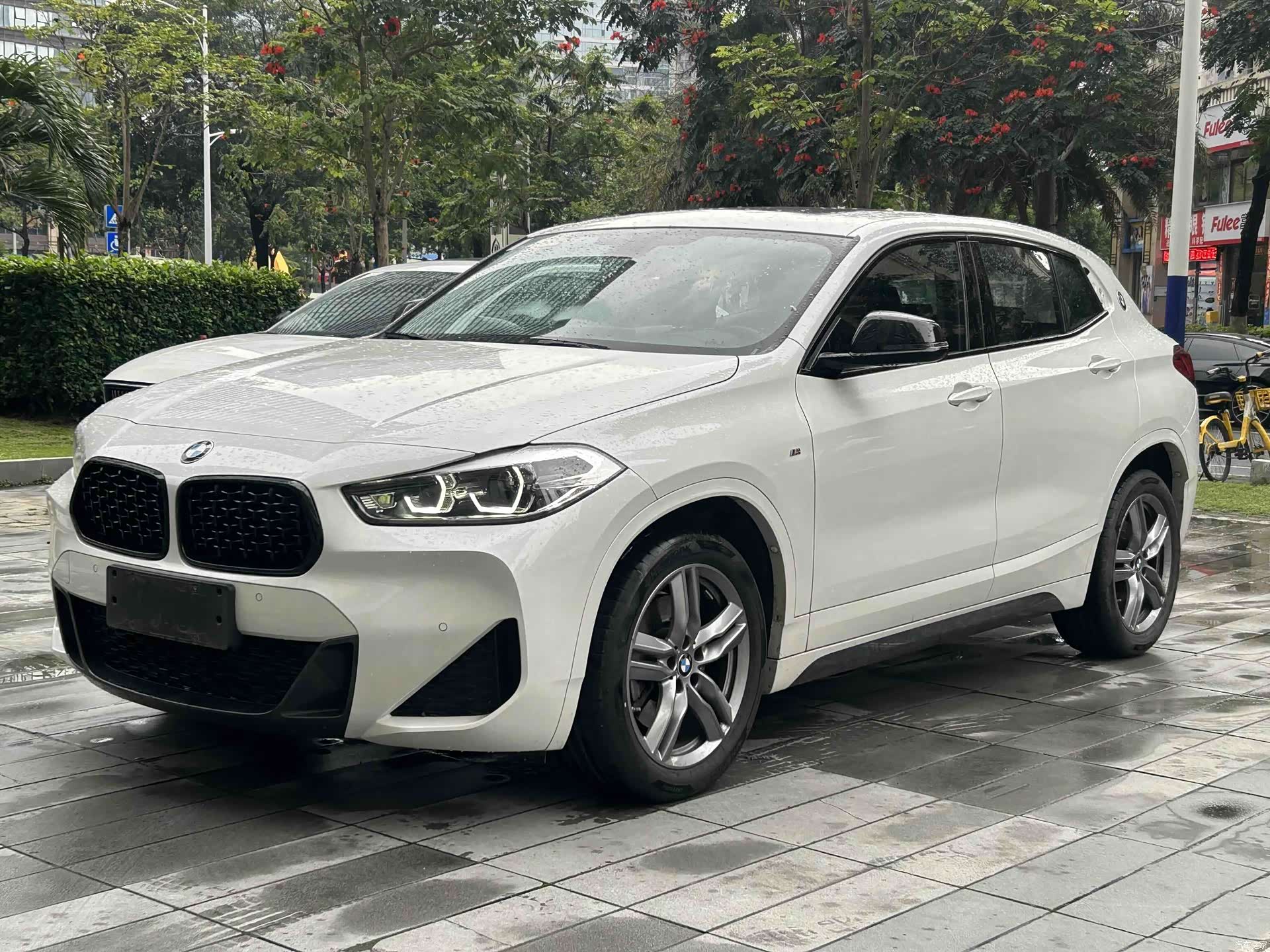 BMW X2, 2024 1