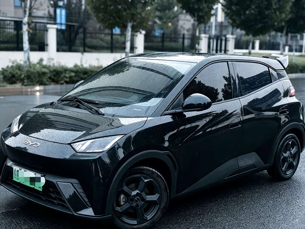 BYD Seagull