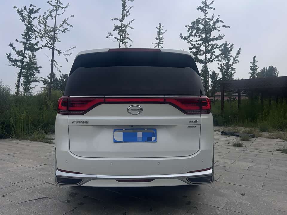 Trumpchi Trumpchi M8
