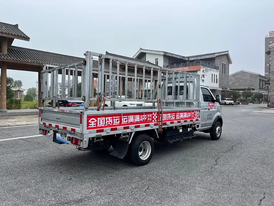 Shineray Xinyuan T5L EV