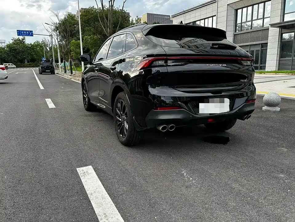 Forthing Popular T5 EVO