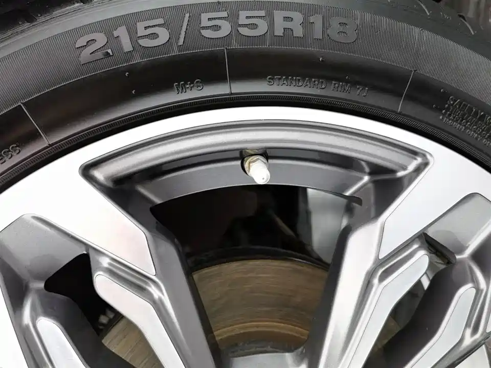 Leopaard Cheetah CS9