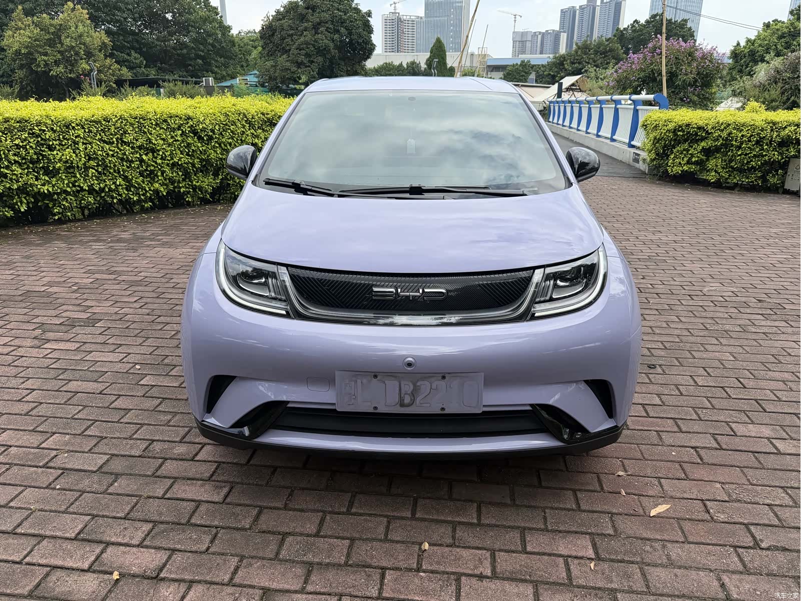 BYD Dolphin, 2023 2