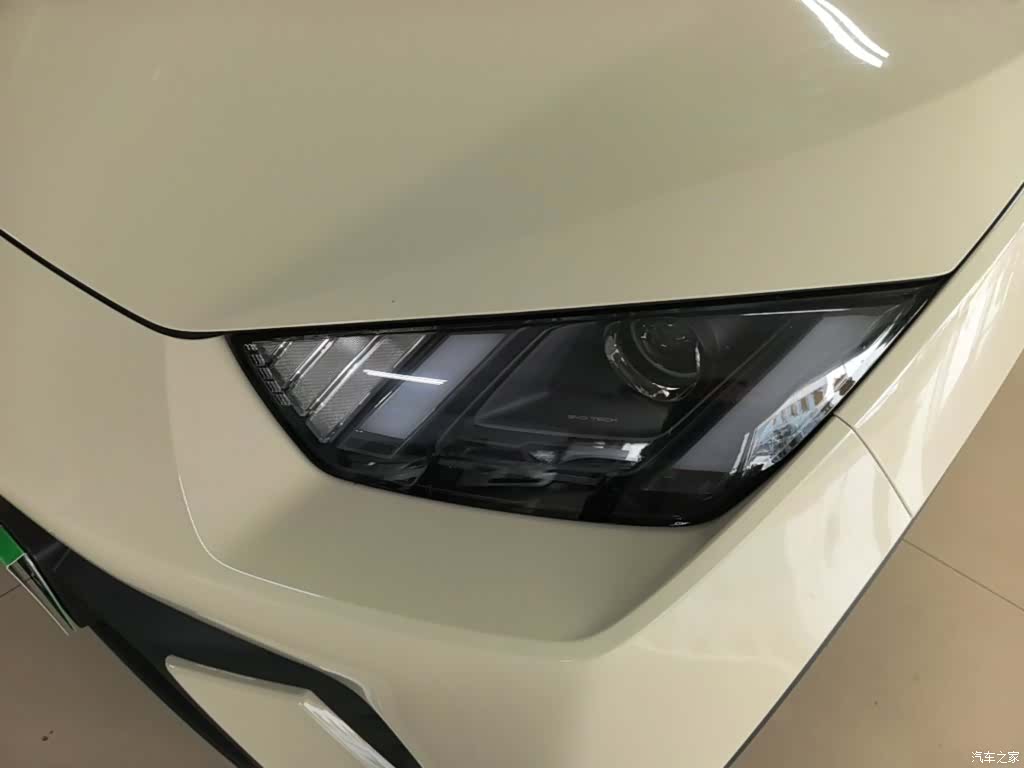 BYD Seagull, 2024 24