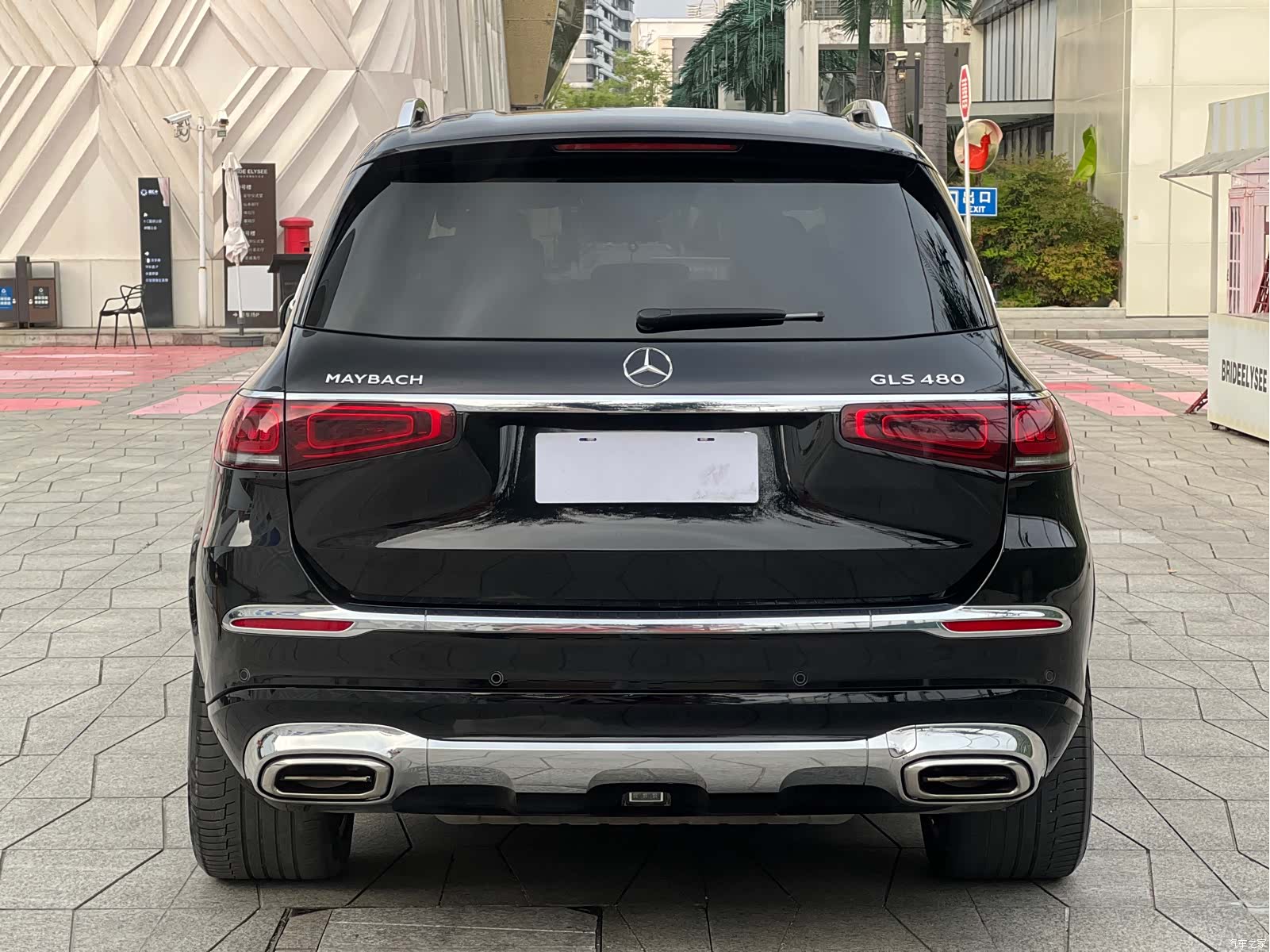 Maybach GLS, 2021 все фото