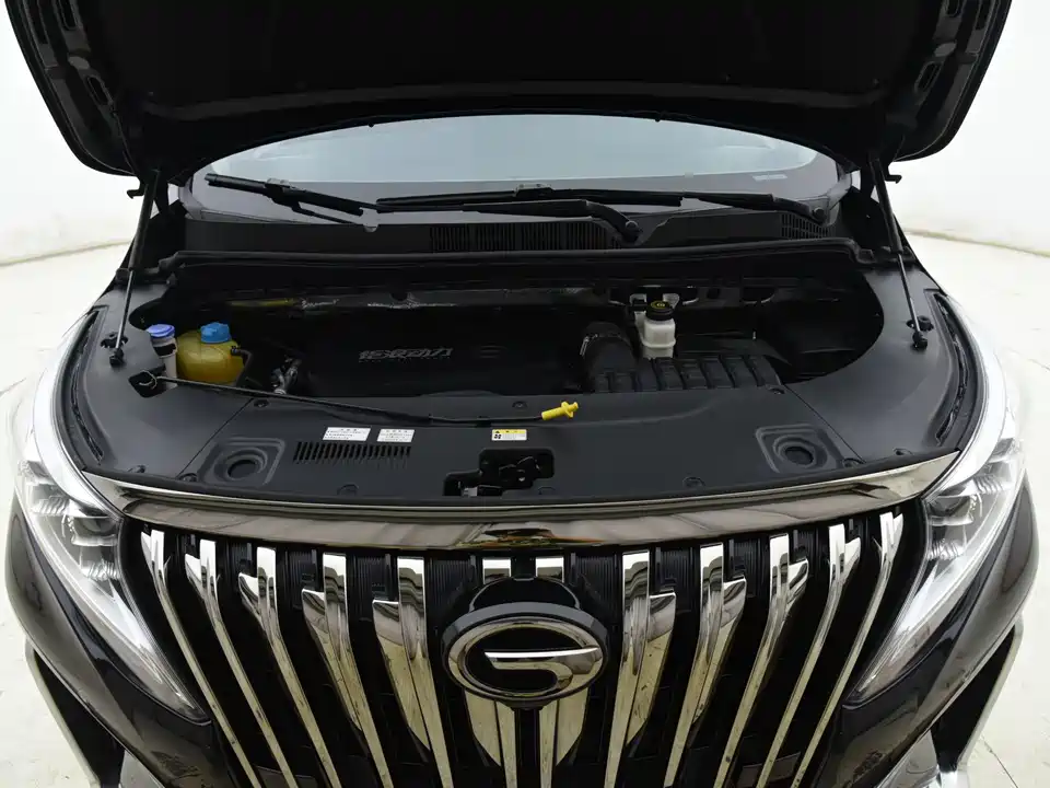 Trumpchi Trumpchi M8