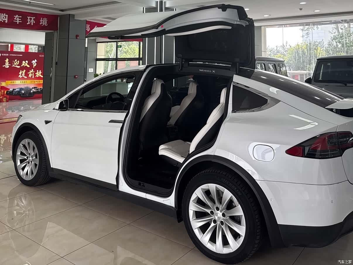 Tesla Model X, 2019 13