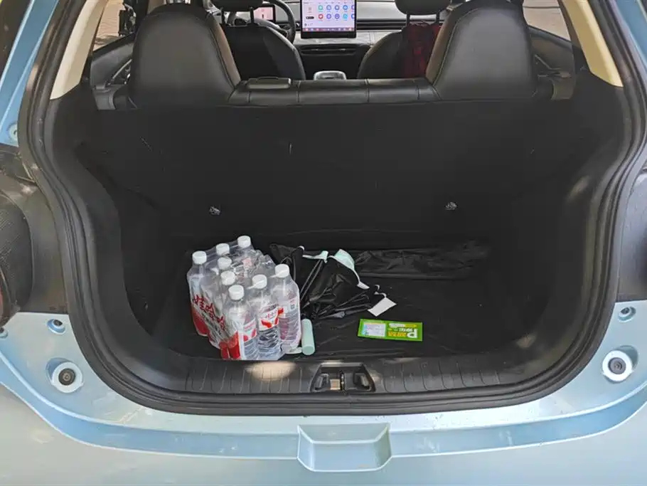 Dongfeng Nammi Nano 01