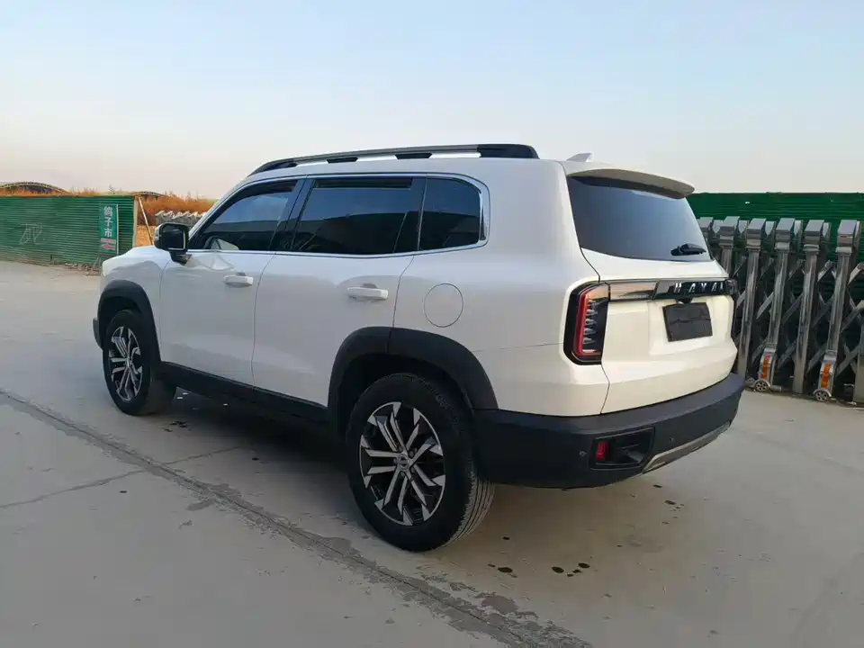 Haval Big dog