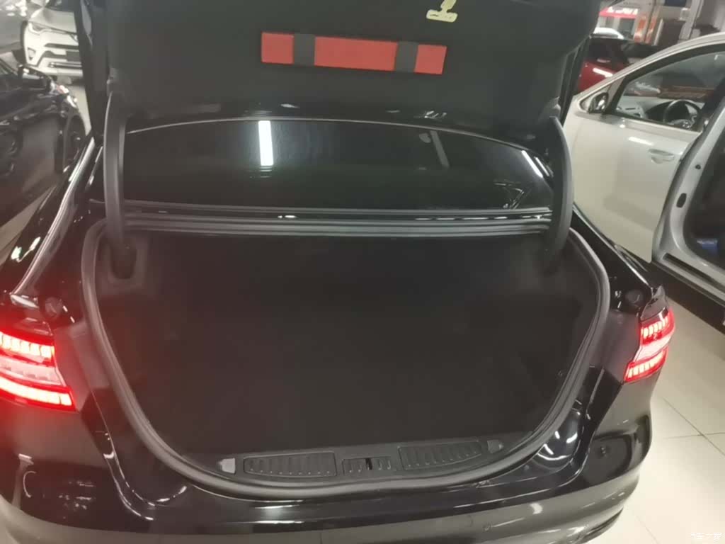 Ford Taurus, 2020 19