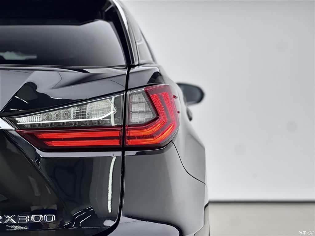 Lexus RX, 2017 16