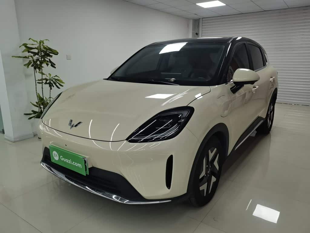 Wuling BinguoS