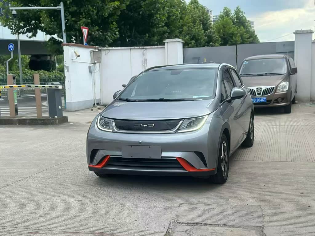 BYD Dolphin