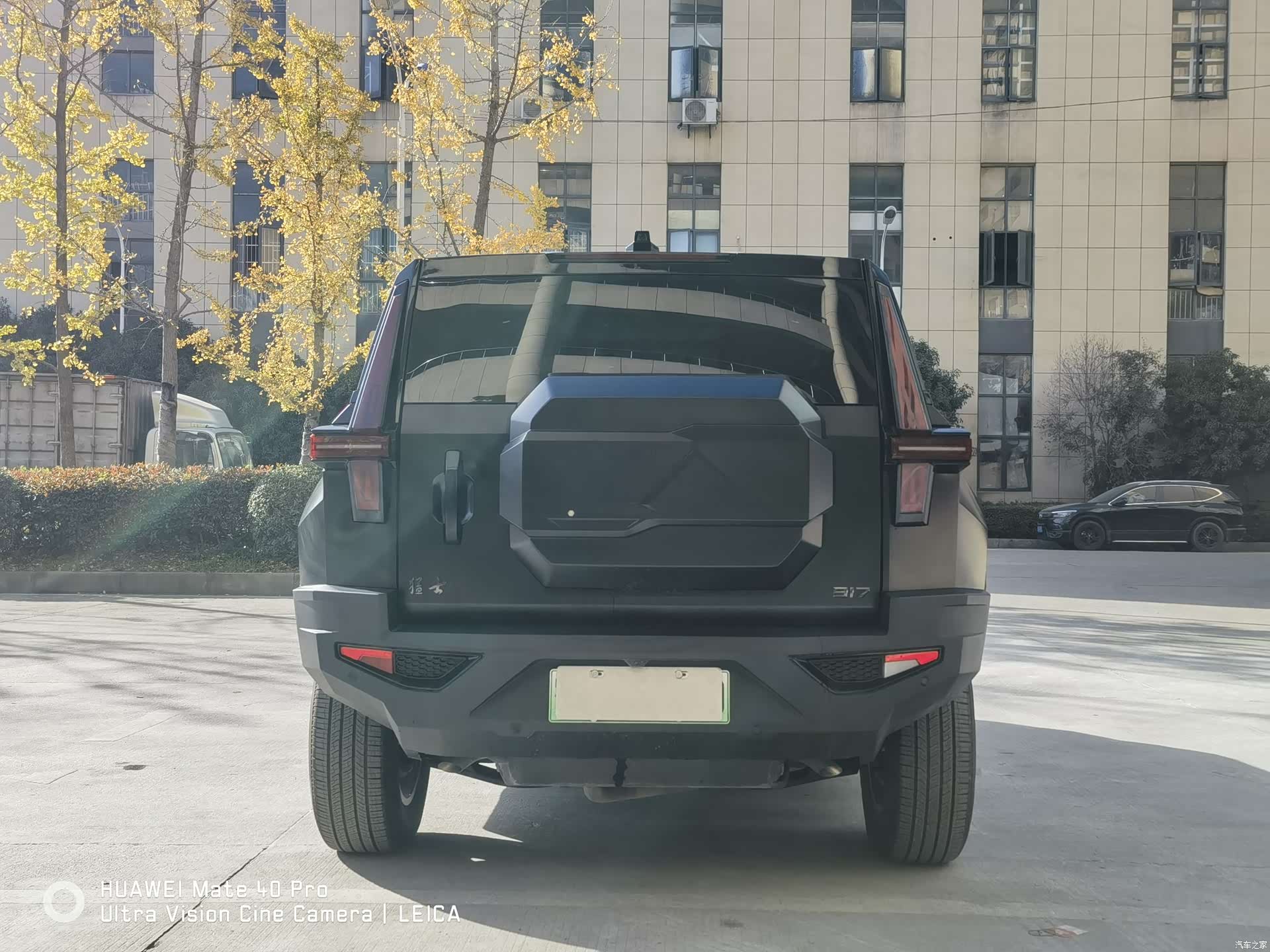 Mengshi 917, 2024 8